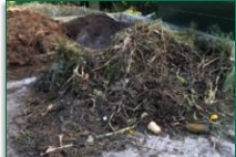 Allotment Garden Waste with Spoilt Cattle Feed (behind) Allotment Garden Waste with Spoilt Cattle Feed (behind)