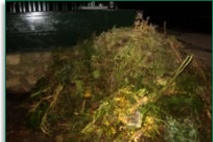 Farmyard and Field Margin and Vegetation Farmyard and Field Margin and Vegetation
