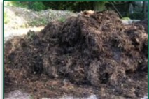 Horse Stable Manure Horse Stable Manure