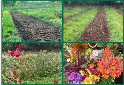 Fermen8® to Flowers Fermen8® to Flowers