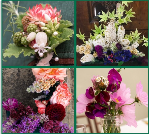 Flowers Grown in Fermin8® Flowers Grown in Fermin8®