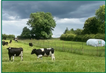 Manure to Fermen8® Manure to Fermen8®