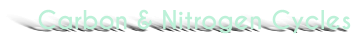 Carbon & Nitrogen Cycles
